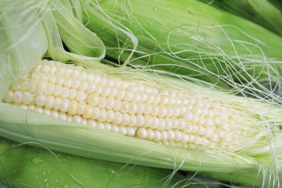 beautiful white corn