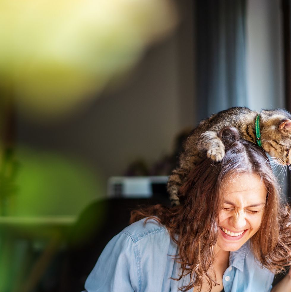 beautiful young woman laughing happily with a cat on her head, companion pet friendship concept