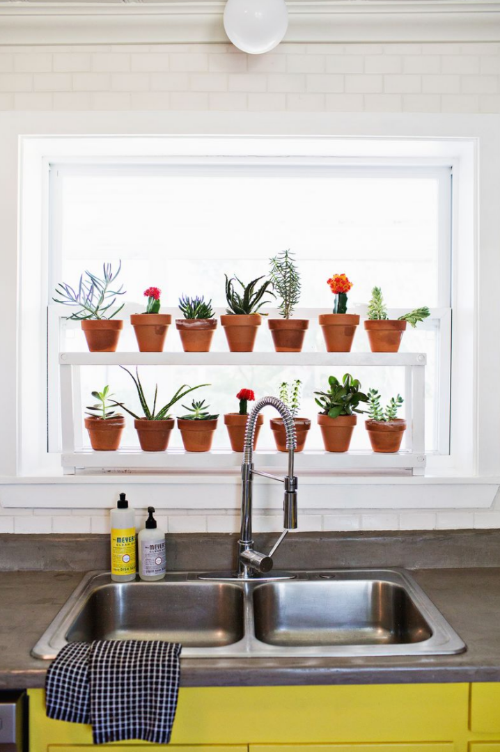 windowsill ideas