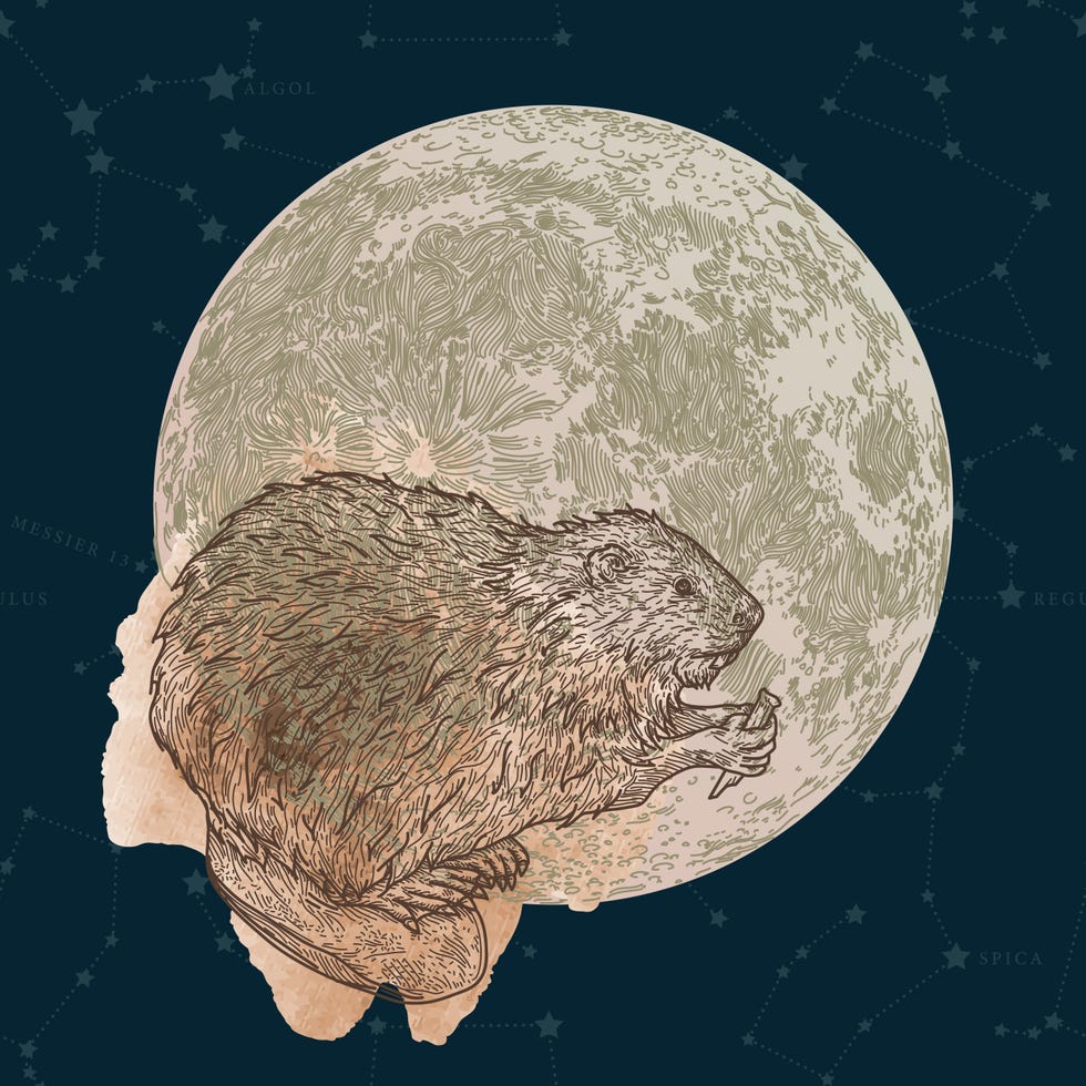 Full moon - Figure 1