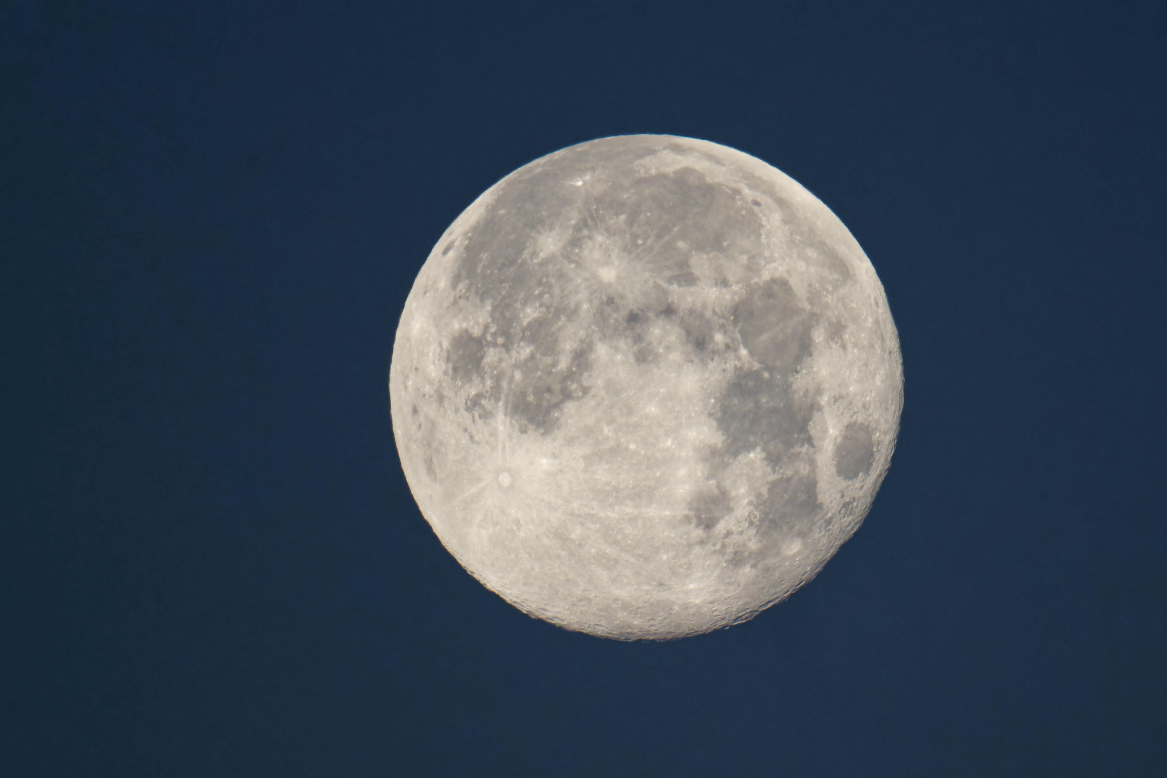 November Beaver Moon What To Know About The Last 2024 Supermoon