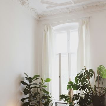 a bed with a window and plants