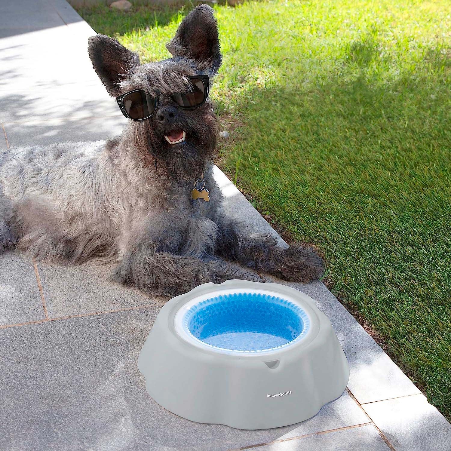 Huesitos Forrajeria - Con el bebedero portátil vas a poder mantener  hidratado a tu perro cada vez que salgas junto a él a pasear o hacer  ejercicio. Vas a tener la seguridad