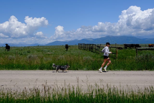 becca boylan runs on gravel road with dog behind