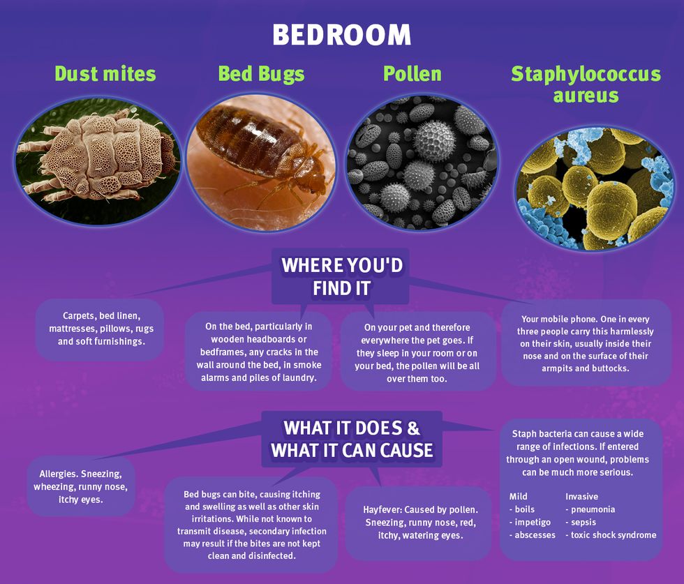 Bedroom Germs - Mattress Online