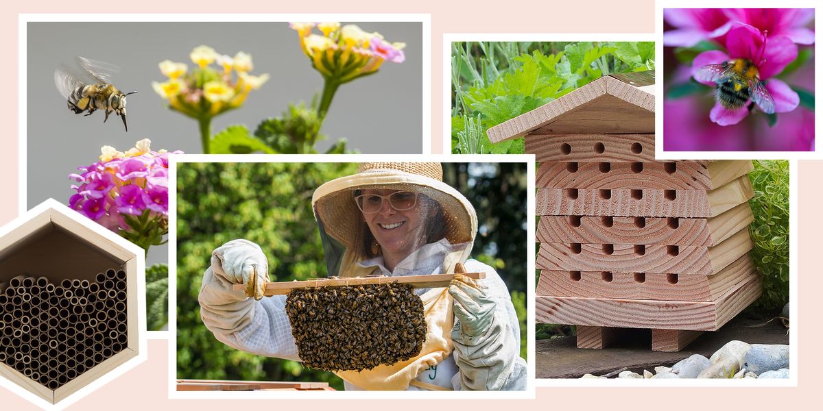 best bee houses 2018