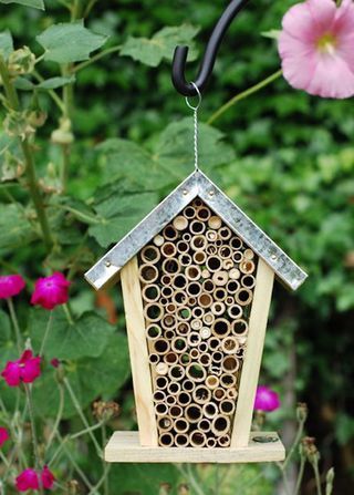 Bee nesting box with zinc roof photo