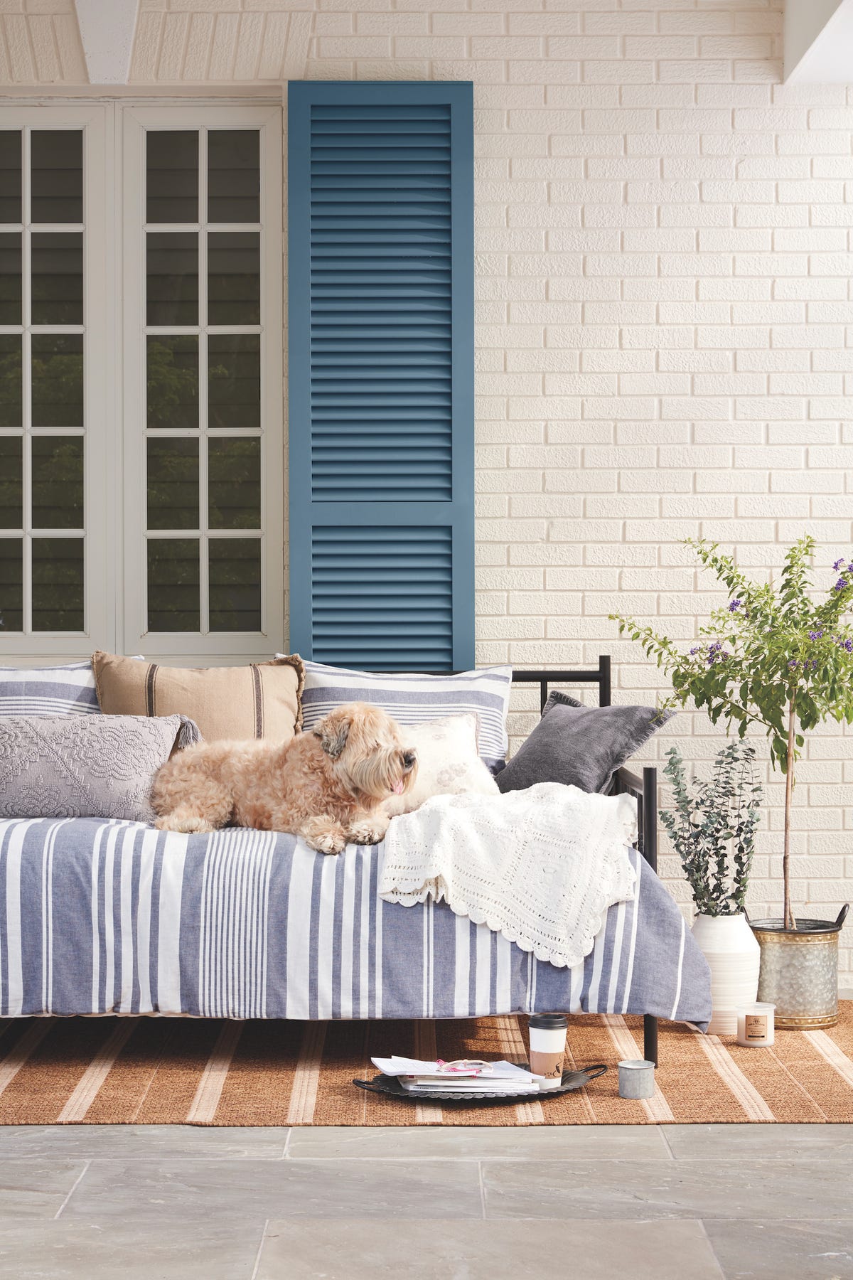 Bed Bath & Beyond's Home Collection Bee & Willow