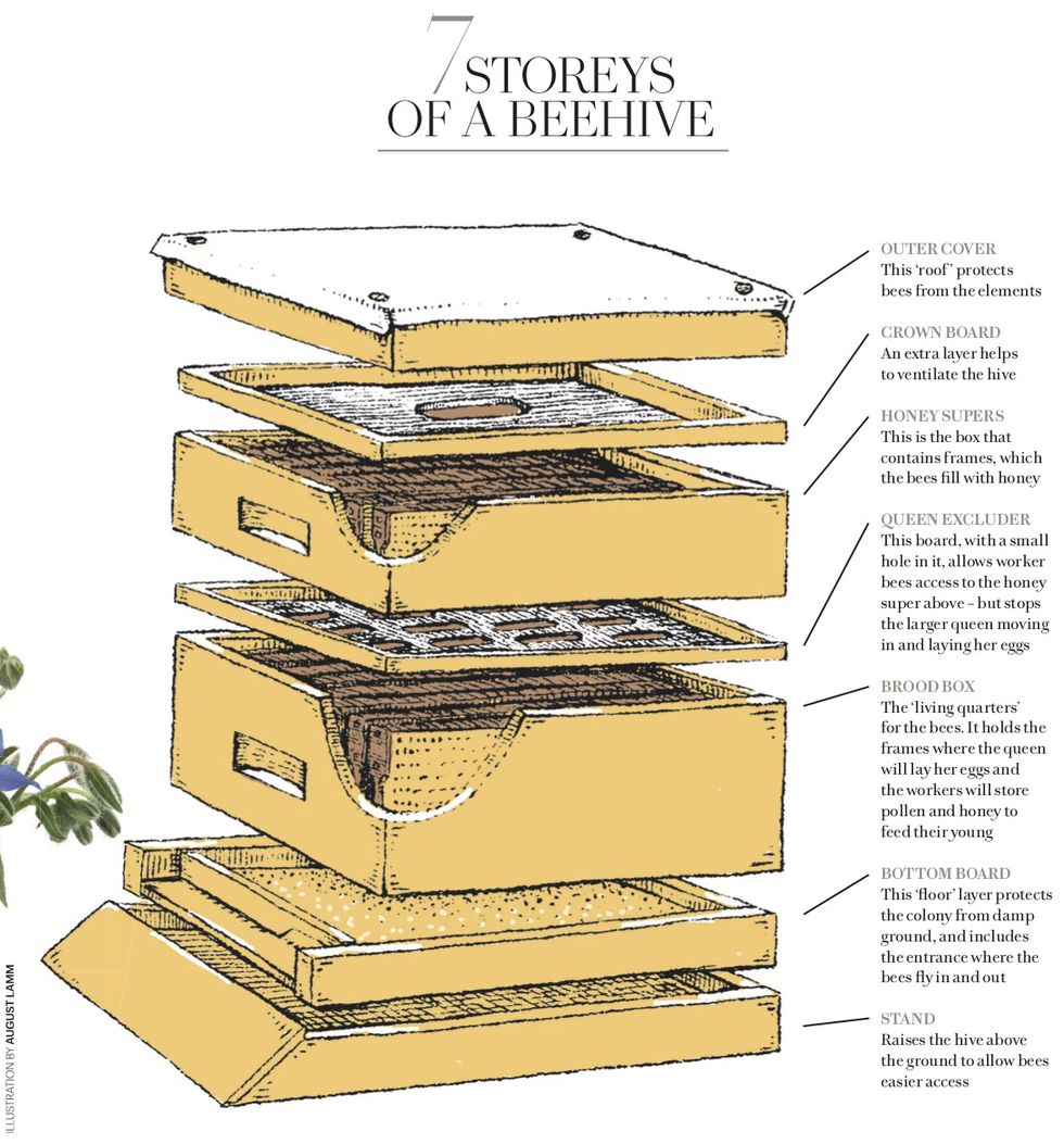 how does a beehive work