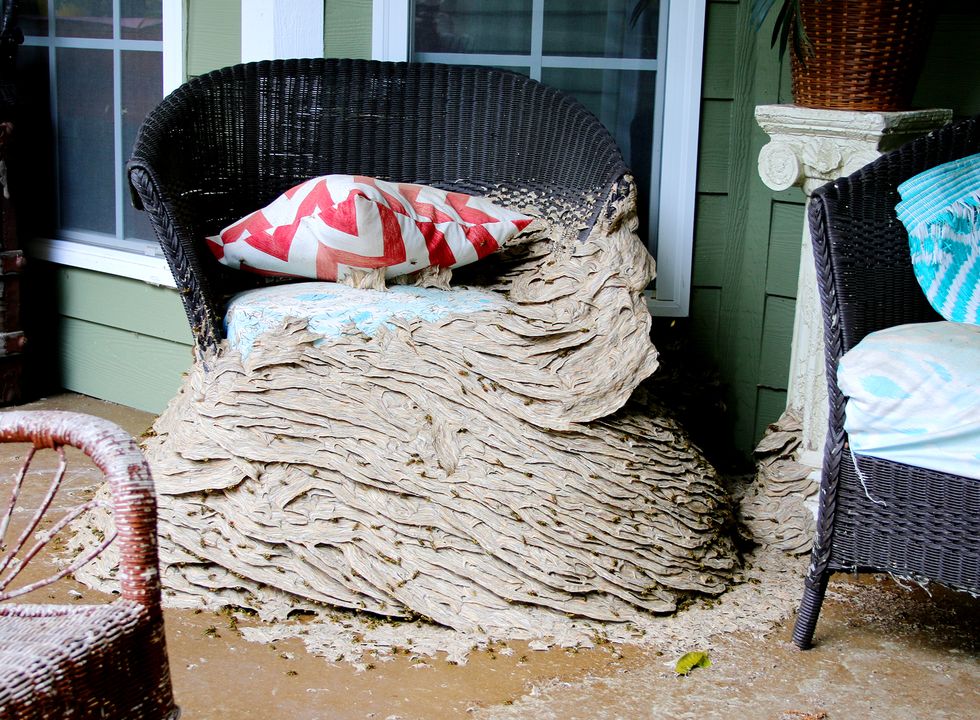 large beehive engulfing porch chair