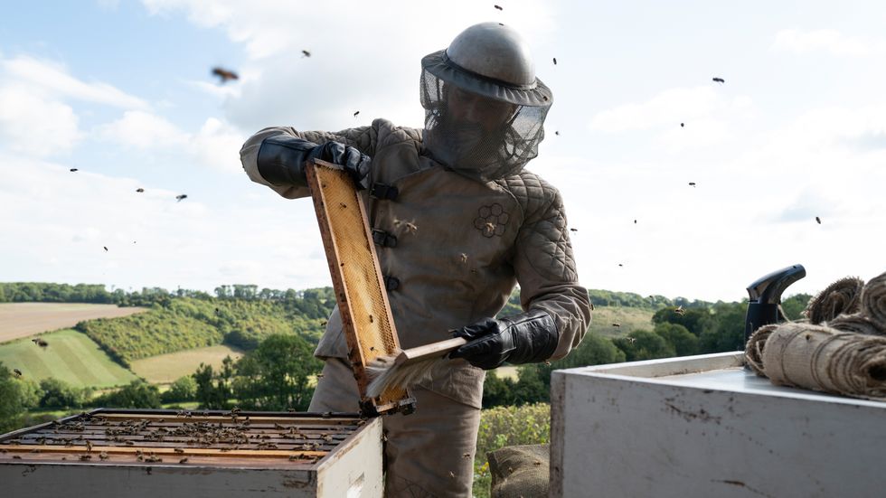 beekeeper jason statham