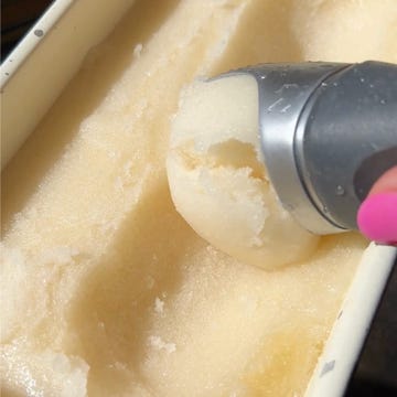 beer sorbet