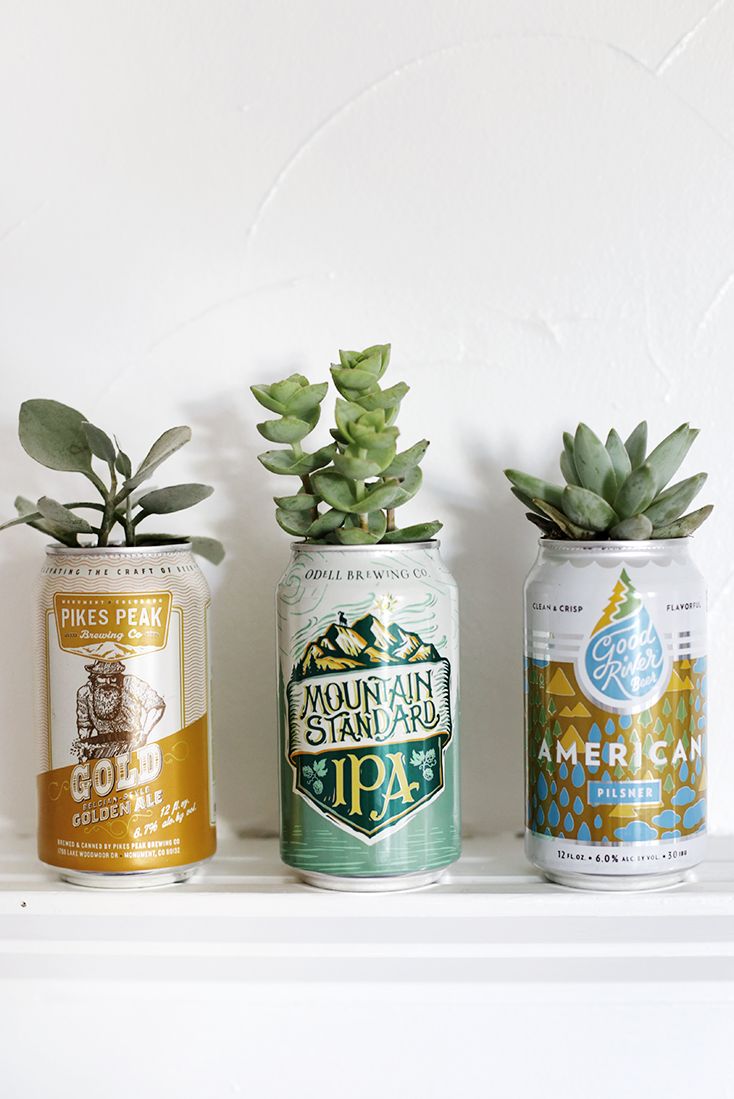 beer can planters