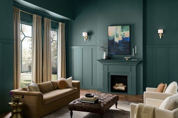 behr 2026 color of the year hidden gem