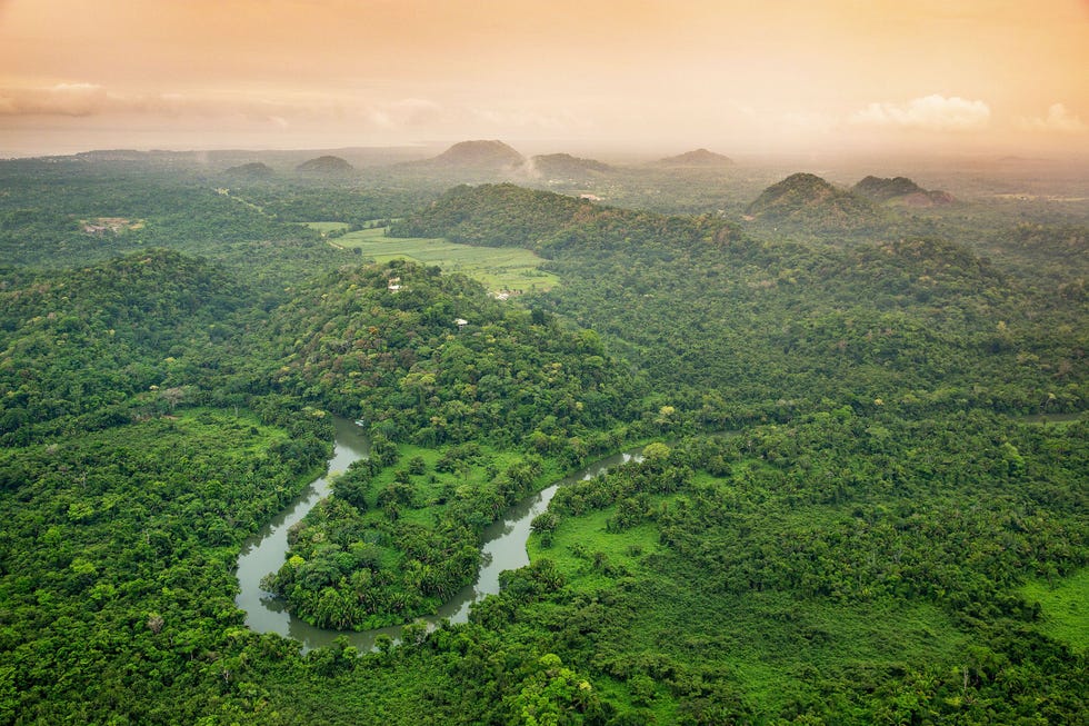 Belize staat bekend om zijn ongerepte wateren en koraal maar het vasteland is net zo mooi Deze oerwouden bevinden zich in de buurt van Belcampo Lodge
