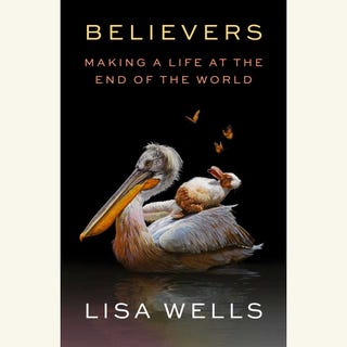 believers, lisa wells