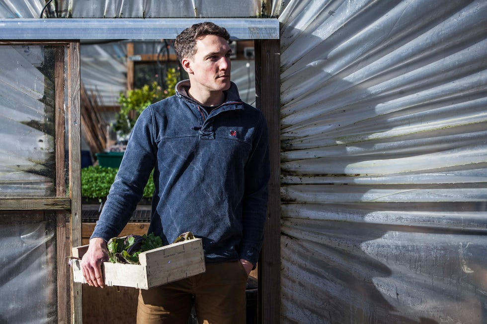 Standing, Wood, Workwear, Compost, Siding, Shed, 