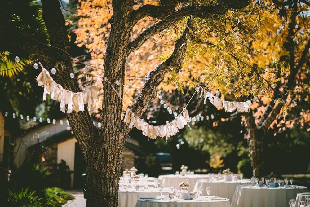 Tree, Yellow, Branch, Wedding reception, Lighting, Plant, Leaf, Ceremony, Woody plant, Centrepiece, 