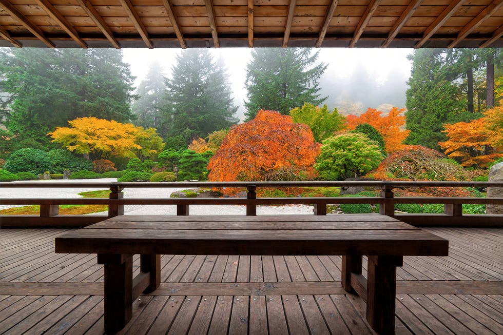 bench at the pavilion portland japanese garden