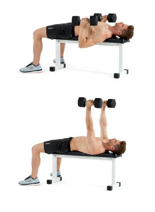 Weights, Exercise equipment, Dumbbell, Arm, Shoulder, Press up, Bench, Leg, Joint, Physical fitness, 