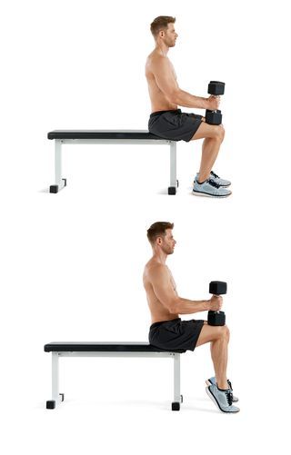 Exercise equipment, Shoulder, Arm, Weights, Leg, Standing, Joint, Sitting, Abdomen, Fitness professional, 