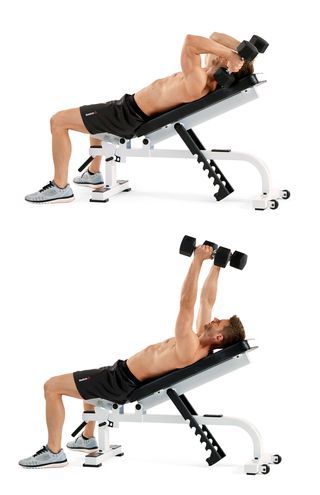 Exercise equipment, Weights, Arm, Physical fitness, Dumbbell, Fitness professional, Bench, Leg, Exercise machine, Muscle, 