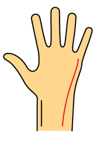 Finger, Hand, Line, Yellow, Thumb, Gesture, Personal protective equipment, Clip art, 