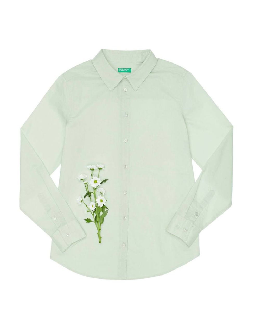 White, Clothing, Sleeve, Green, Collar, Shirt, Outerwear, Button, Dress shirt, Top, 
