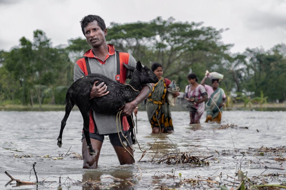 Bangladesh en het oosten van India werden werd in mei getroffen door een verwoestende supercycloon waarbij tientallen doden vielen en duizenden mensen dakloos raakten In India dragen Sudhangshu Bera en zijn gezin hun bezittingen naar een naburige school nadat hun huis onder water is komen te staanCycloon Amphan was de zwaarste storm die deze eeuw in de Golf van Bengalen huishield