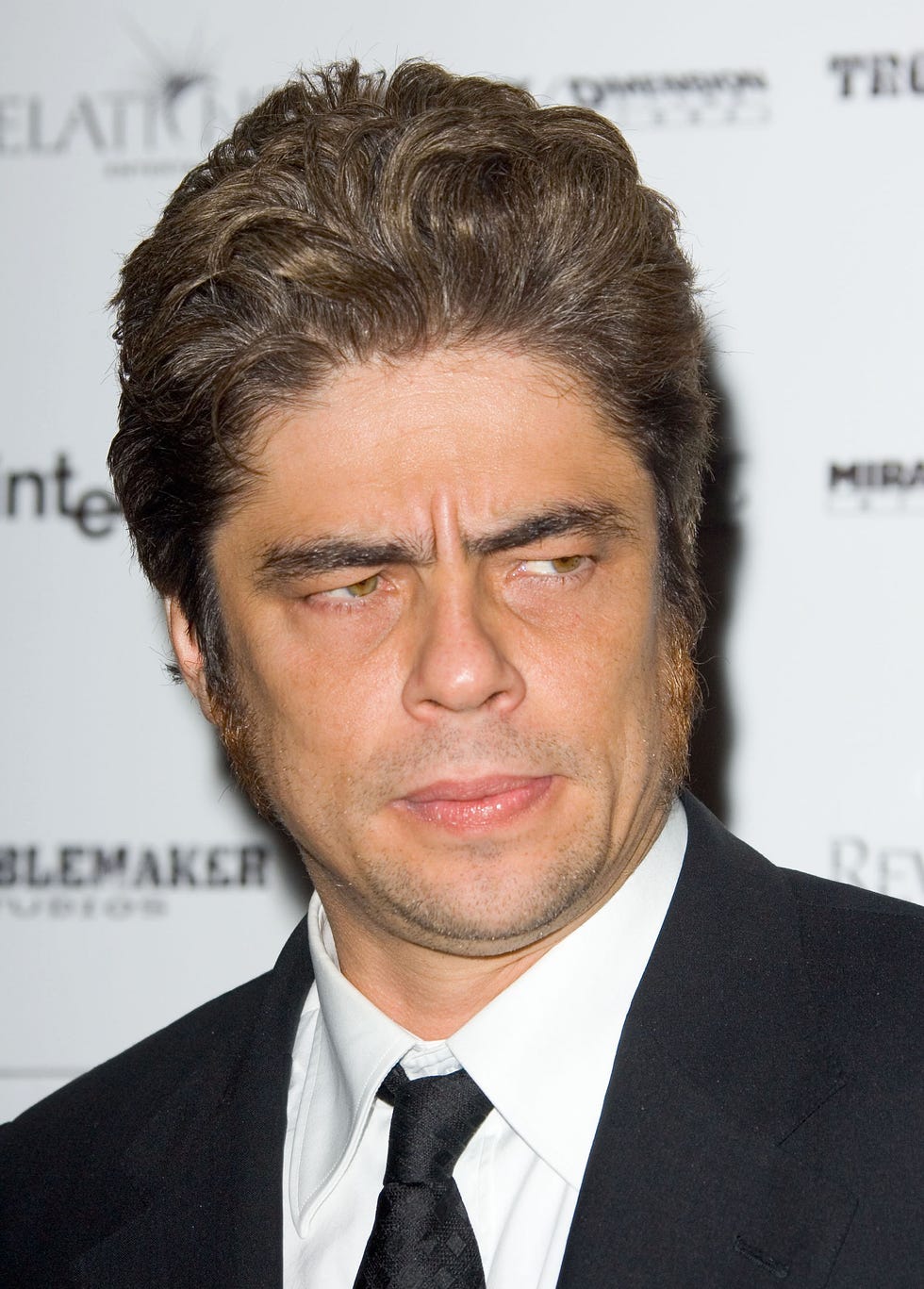 benicio del toro con patillas