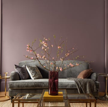 sitting room with painted wall benjamin moore colour of the year 2025