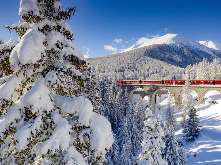 clear sky on bernina express train crossing the forest covered with snow, chapella, graubunden canton, engadine, switzerland