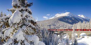 clear sky on bernina express train crossing the forest covered with snow, chapella, graubunden canton, engadine, switzerland