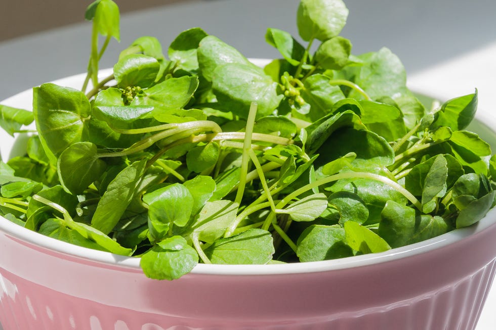 50 alimentos ricos en hierro