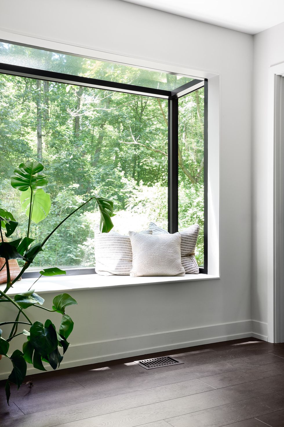 a window with a plant and pillows