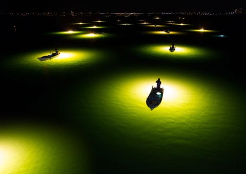 De lichten van de boten trekken de Shirasupaling s nachts aan in Tokushima Japan