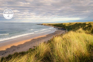 the northumberland coast is a designated area of outstanding natural beauty aonb, known for its wide sweeping beaches high sand dunes punctuated by dark whinstone outcrops