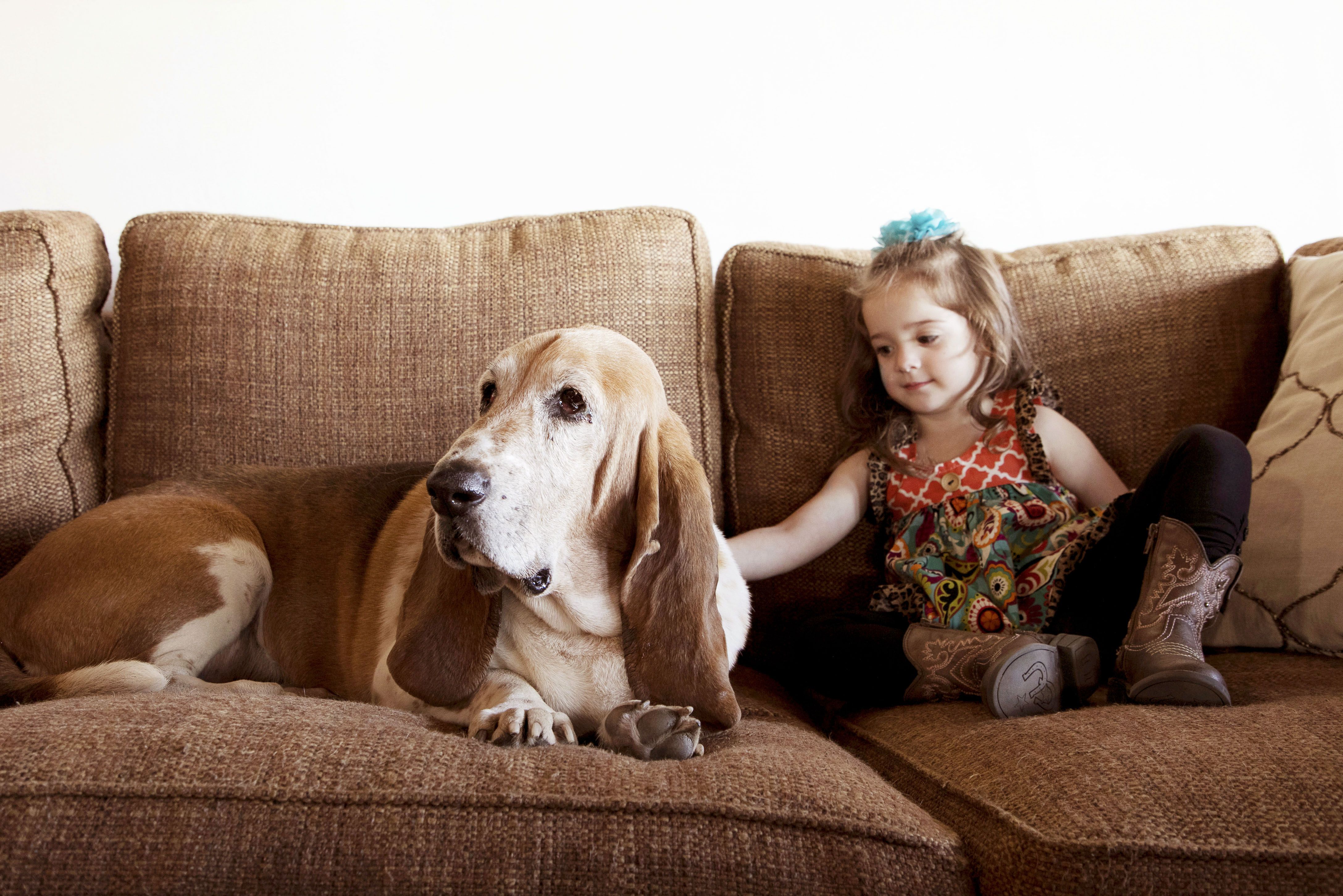 Best air purifier for online allergies and pets