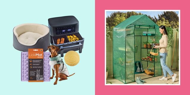 best aldi specialbuys