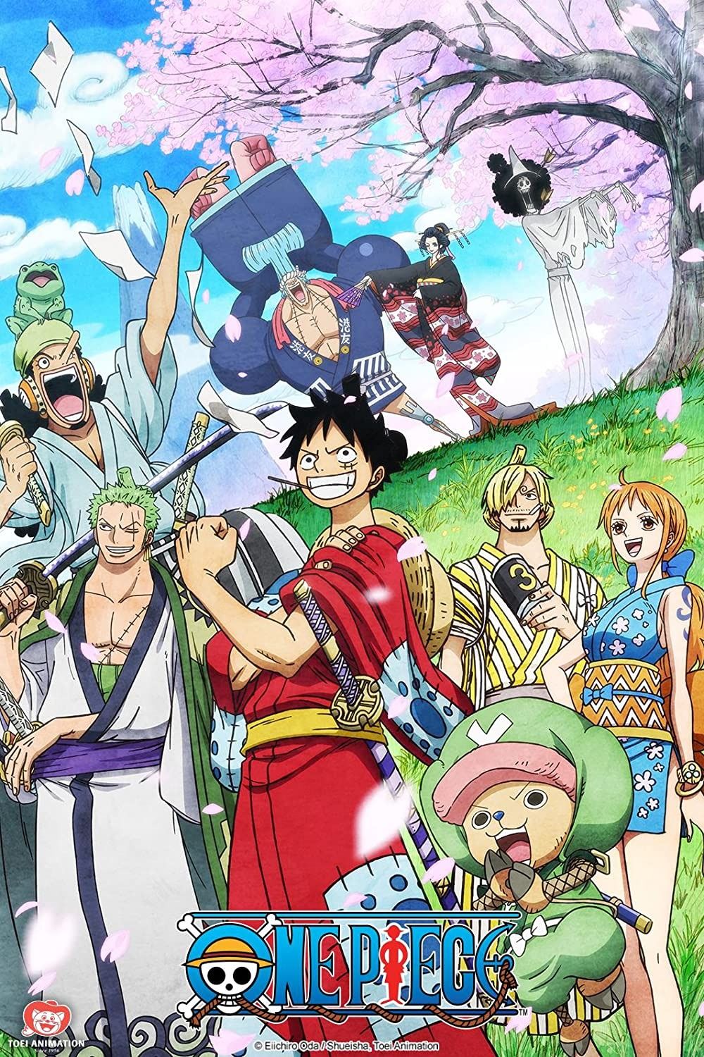 The One Piece': Netflix Announces New Anime Series Based on Manga – TVLine