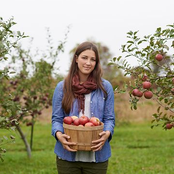 girl in denim button down holding basket of apples at an apple orchard