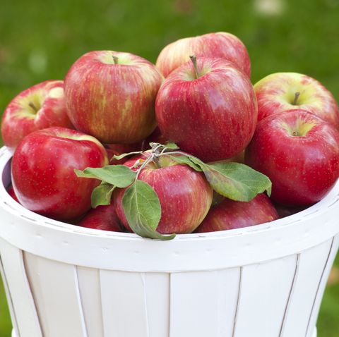 wooden basket of macintosh apples