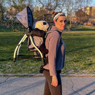 cat wearing a baby carrier that is holding a child sized stuffed animal, baby tula explore baby carrier