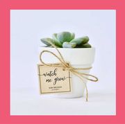 best baby shower favors  personalized bath bombs and watch me grow succulent