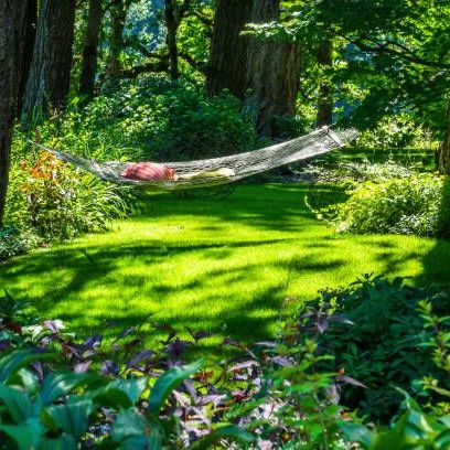 lush green backyard with hammock between two trees