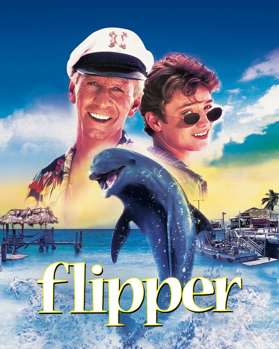 best beach movies stream now flipper
