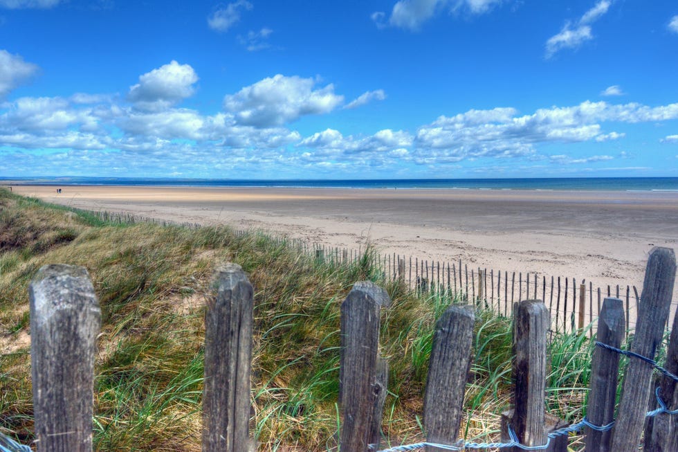 west sands beach in st andrews, scotland