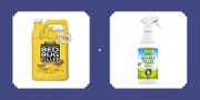 best bed bug spray 2019
