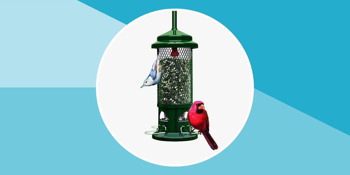 Bird Feeders GRID