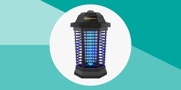 best bug zappers